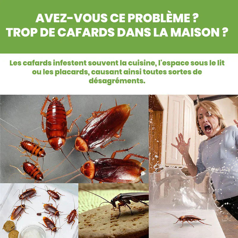 Piège Anti-Cafard Révolutionnaire – Chasse les cafards ou Élimine le Nid en 48h, Sans Odeur ni Risque
