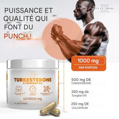 Capsules de testostérone turkestérone tongkat ali - Puissance, Énergie & Croissance Musculaire