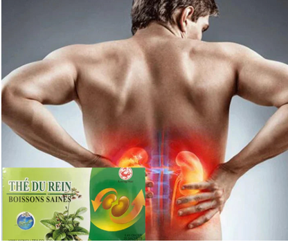 Thé du Rein - Purifier et Eliminer les toxines de votre corps