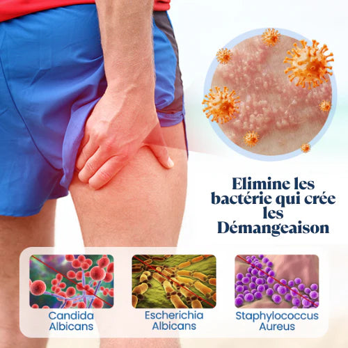 Crème anti-démangeaisons Antibactérienne élimine Les Odeurs à Base de Plantes