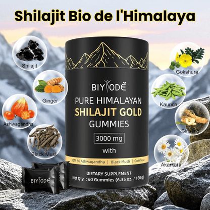 Gummies Shilajit d'Or Himalayen – Energie & Immunité, 60 pcs - ORIGINAL